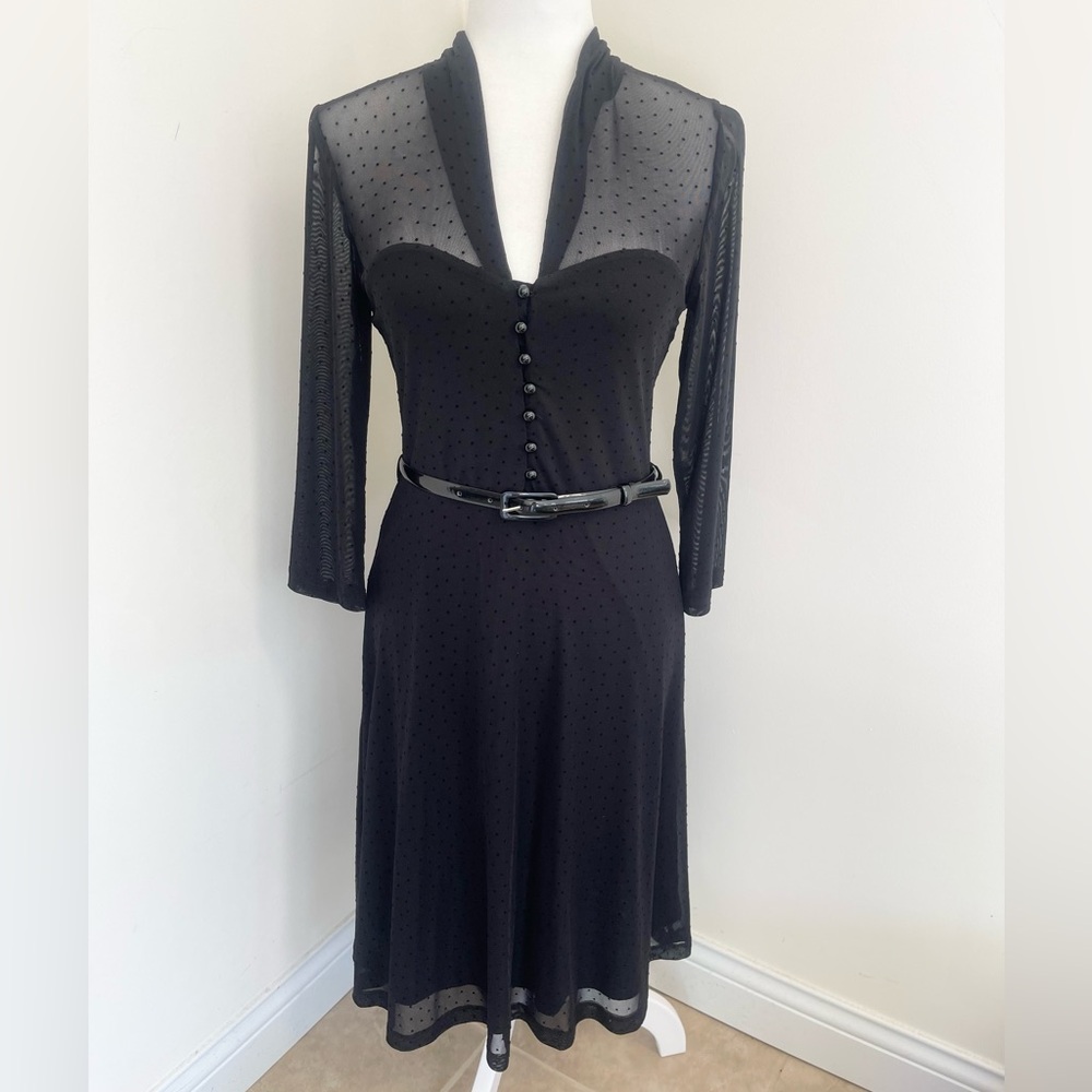 Gorgeous NWOT Louie Lucie mesh & Swiss dot dress!